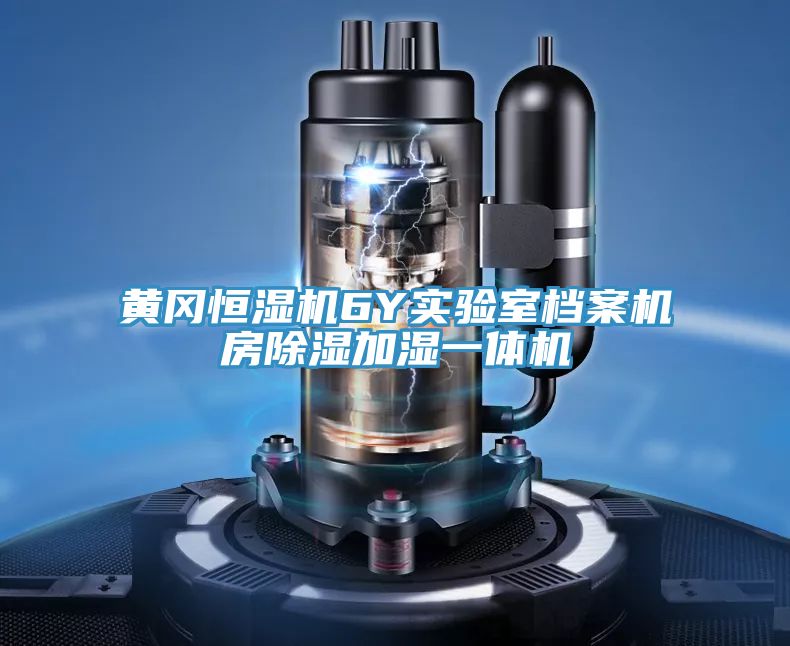 黃岡恒濕機(jī)6Y實驗室檔案機(jī)房除濕加濕一體機(jī)